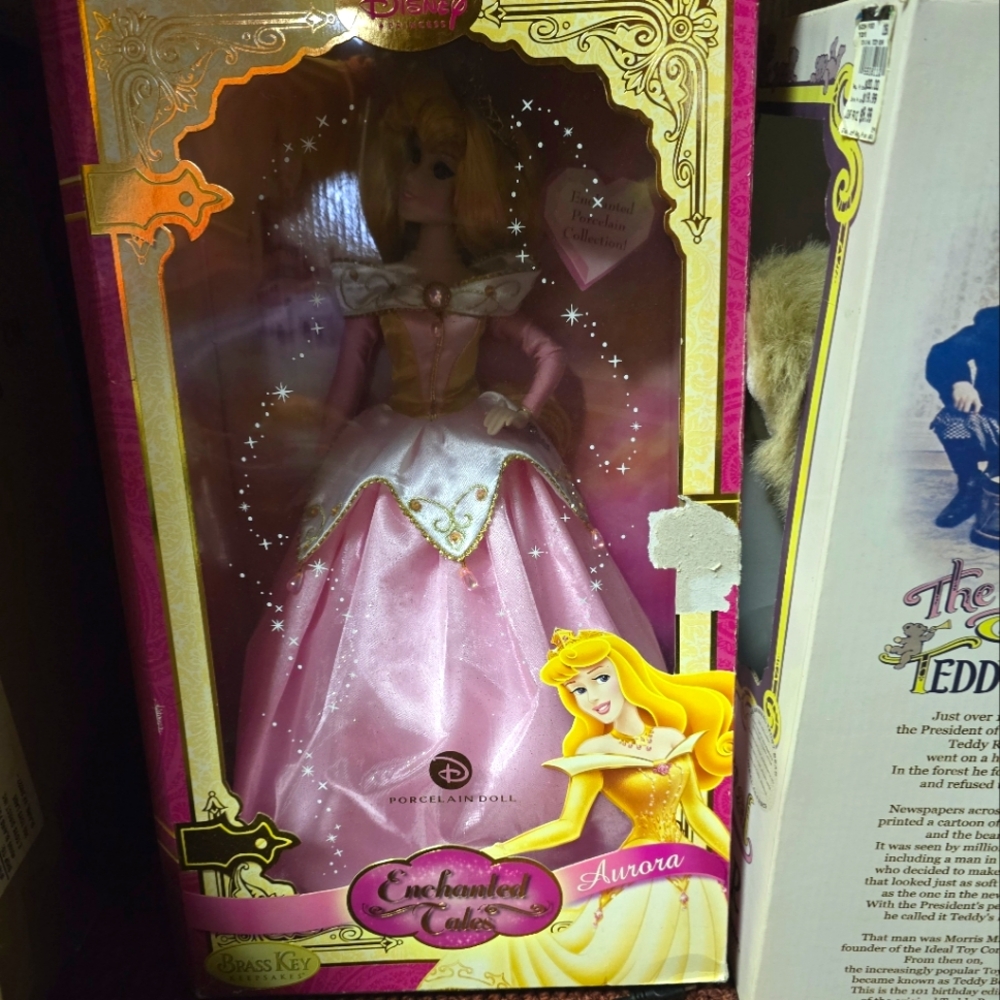 Enchanted Aurora Doll in Pink Dress